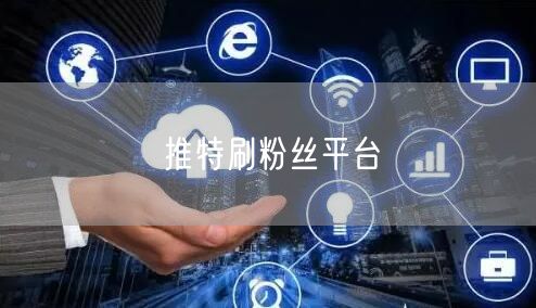 推特刷粉丝平台