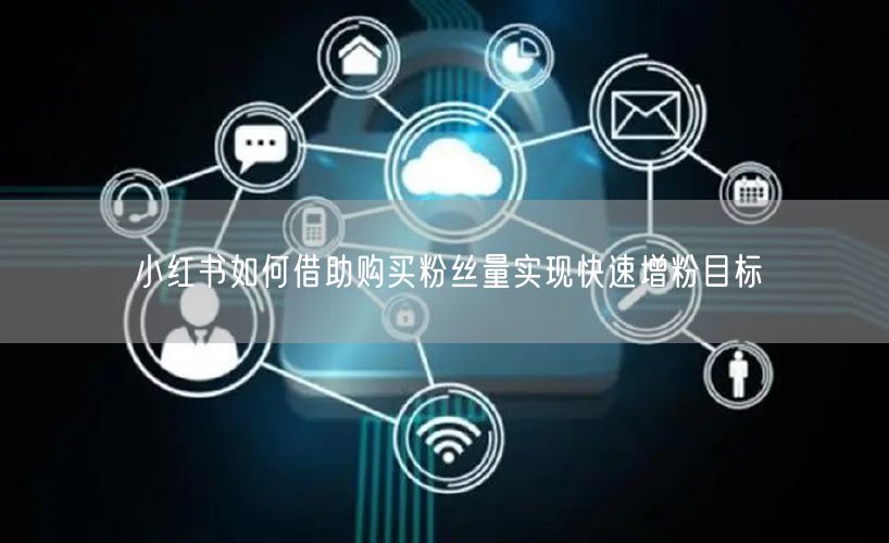 小红书如何借助购买粉丝量实现快速增粉目标