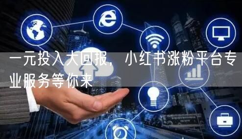 一元投入大回报，小红书涨粉平台专业服务等你来