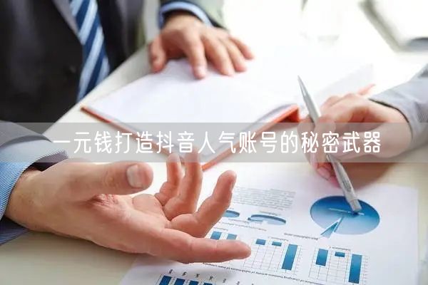 一元钱打造抖音人气账号的秘密武器