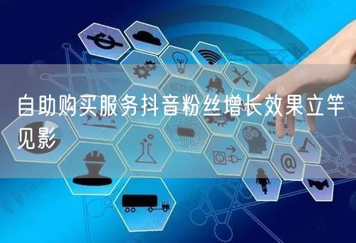 自助购买服务抖音粉丝增长效果立竿见影