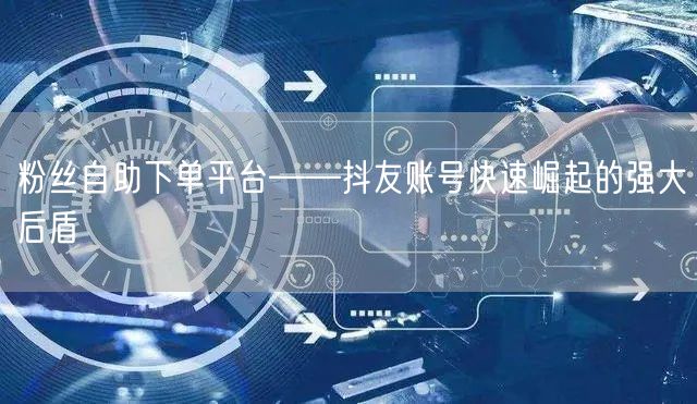 粉丝自助下单平台——抖友账号快速崛起的强大后盾