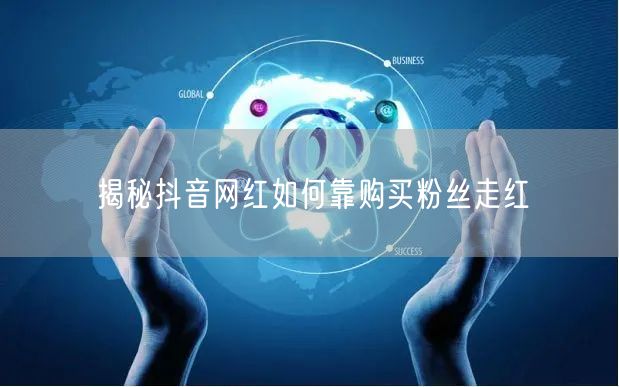 揭秘抖音网红如何靠购买粉丝走红